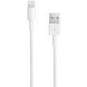USB Male to Lightning Male Cable - 3ft