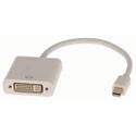 Mini DisplayPort to DVI Adapter