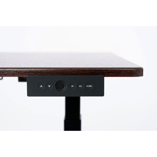 Luxor 48"W 3-Stage Dual Motor Electric Stand Up Desk