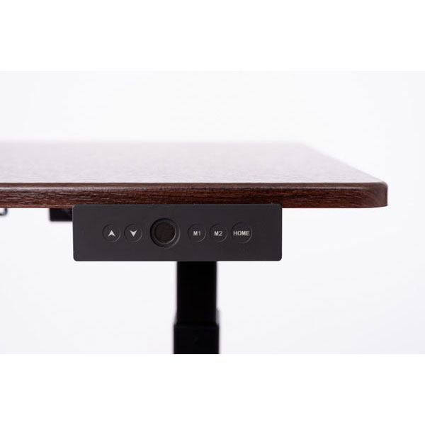 Luxor 60"W 3-Stage Dual Motor Electric Stand Up Desk